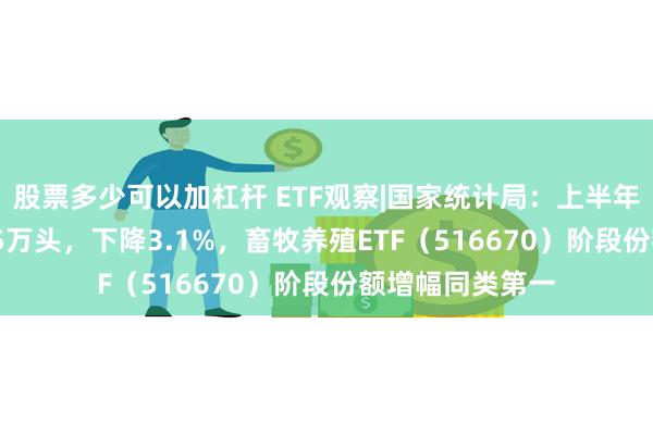 股票多少可以加杠杆 ETF观察|国家统计局：上半年生猪出栏36395万头，下降3.1%，畜牧养殖ETF（516670）阶段份额增幅同类第一