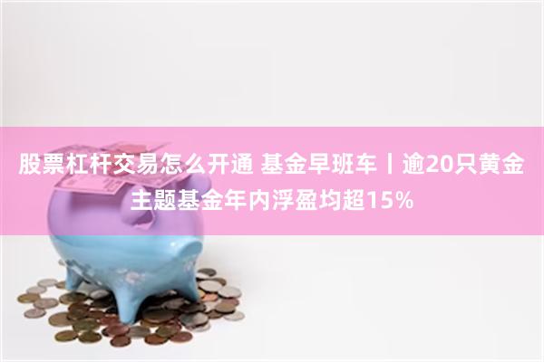 股票杠杆交易怎么开通 基金早班车丨逾20只黄金主题基金年内浮盈均超15%