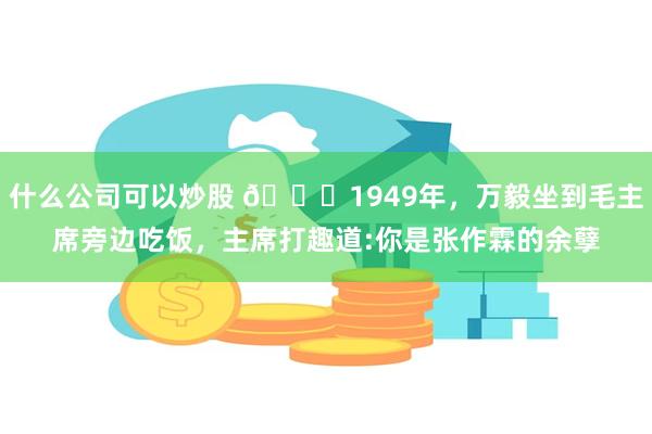 什么公司可以炒股 🌞1949年，万毅坐到毛主席旁边吃饭，主席打趣道:你是张作霖的余孽