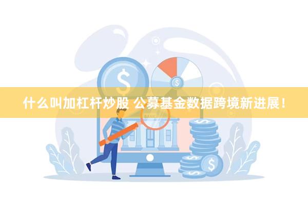 什么叫加杠杆炒股 公募基金数据跨境新进展！