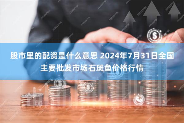 股市里的配资是什么意思 2024年7月31日全国主要批发市场石斑鱼价格行情