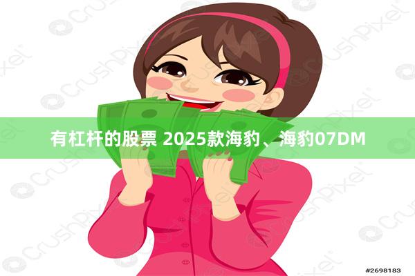 有杠杆的股票 2025款海豹、海豹07DM