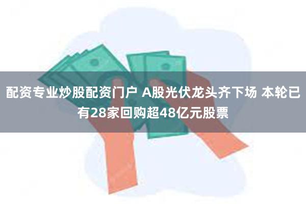 配资专业炒股配资门户 A股光伏龙头齐下场 本轮已有28家回购超48亿元股票