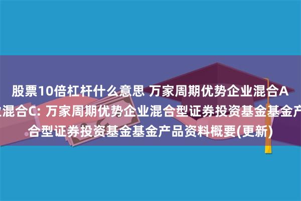 股票10倍杠杆什么意思 万家周期优势企业混合A,万家周期优势企业混合C: 万家周期优势企业混合型证券投资基金基金产品资料概要(更新)