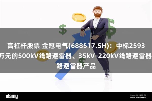 高杠杆股票 金冠电气(688517.SH)：中标2593.84万元的500kV线路避雷器、35kV-220kV线路避雷器产品