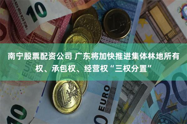 南宁股票配资公司 广东将加快推进集体林地所有权、承包权、经营权“三权分置”