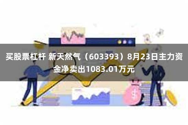 买股票杠杆 新天然气（603393）8月23日主力资金净卖出1083.01万元