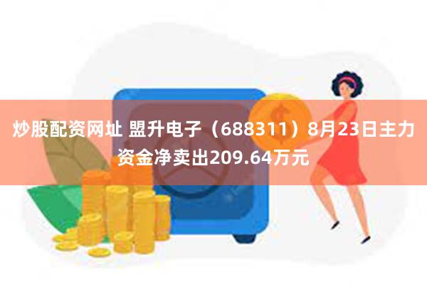 炒股配资网址 盟升电子（688311）8月23日主力资金净卖出209.64万元