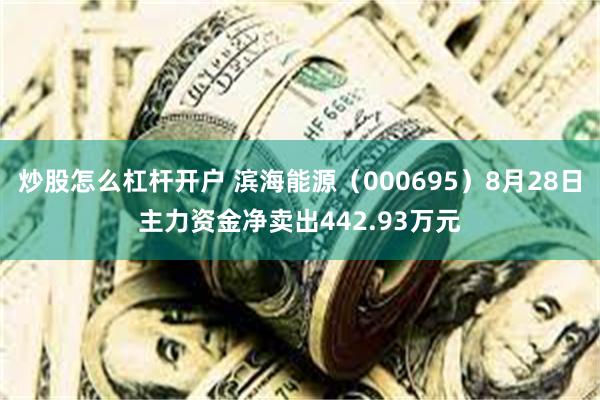 炒股怎么杠杆开户 滨海能源（000695）8月28日主力资金净卖出442.93万元