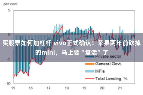 买股票如何加杠杆 vivo正式确认！苹果两年前砍掉的mini，马上要“复活”了