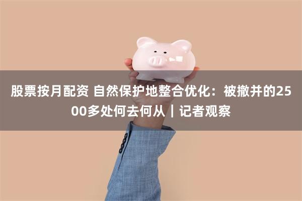 股票按月配资 自然保护地整合优化：被撤并的2500多处何去何从｜记者观察