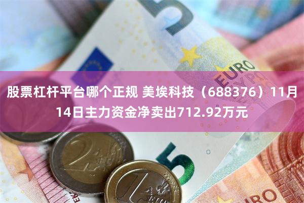 股票杠杆平台哪个正规 美埃科技（688376）11月14日主力资金净卖出712.92万元