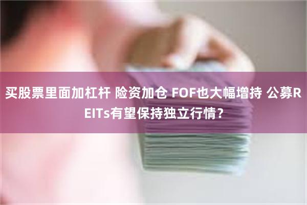 买股票里面加杠杆 险资加仓 FOF也大幅增持 公募REITs有望保持独立行情？