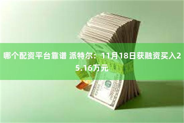 哪个配资平台靠谱 派特尔：11月18日获融资买入25.16万元