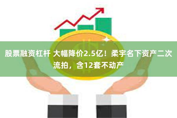 股票融资杠杆 大幅降价2.5亿！柔宇名下资产二次流拍，含12套不动产