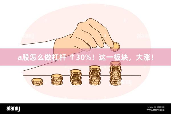 a股怎么做杠杆 ↑30%！这一板块，大涨！